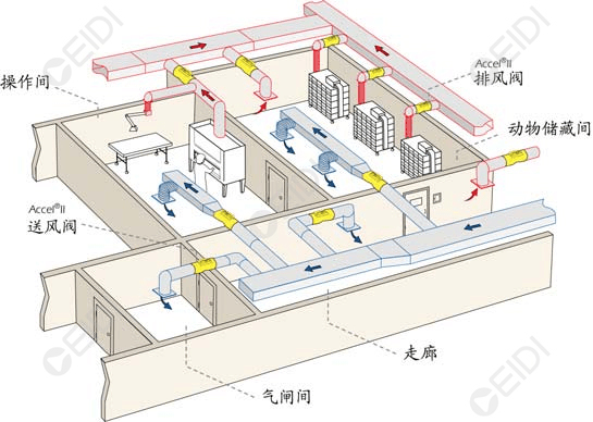 实验动物房净化设计：动物实验室空调系统设计  CEIDI西递